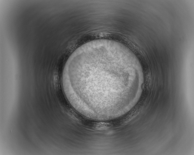 X0000112810222200909181557