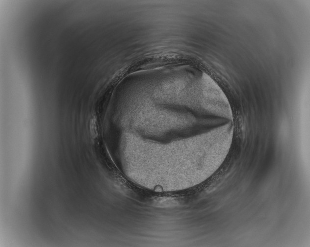 X0000112810224200909181556