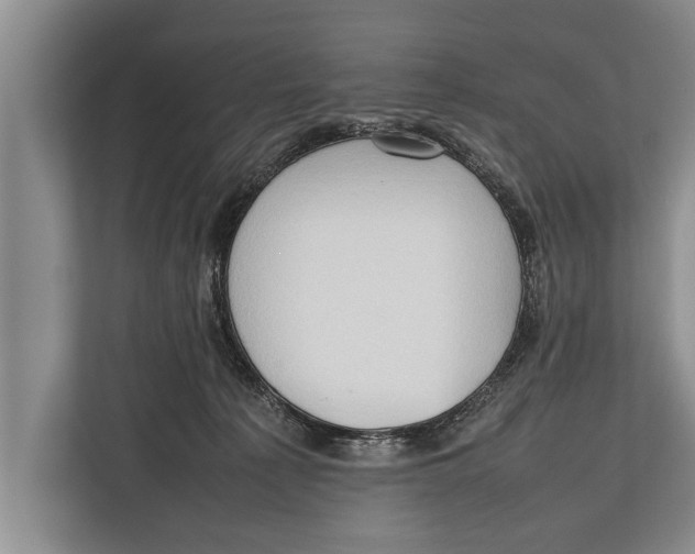 X0000112810225200909181556
