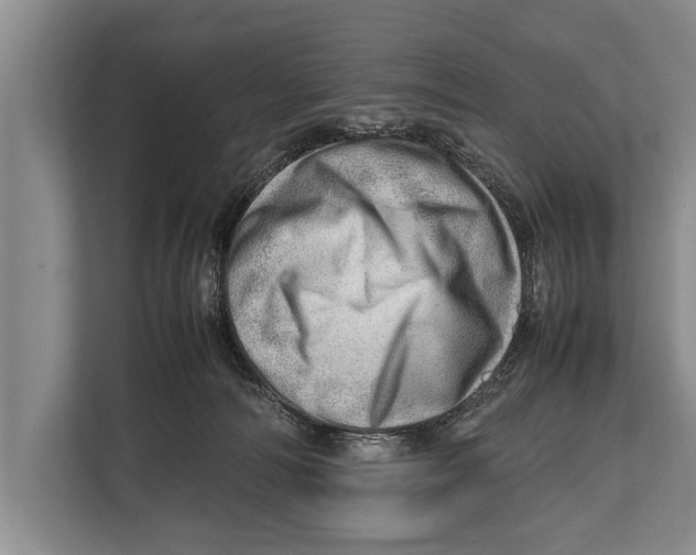 X0000112810226200909181556