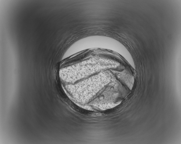 X0000112810227200909181556