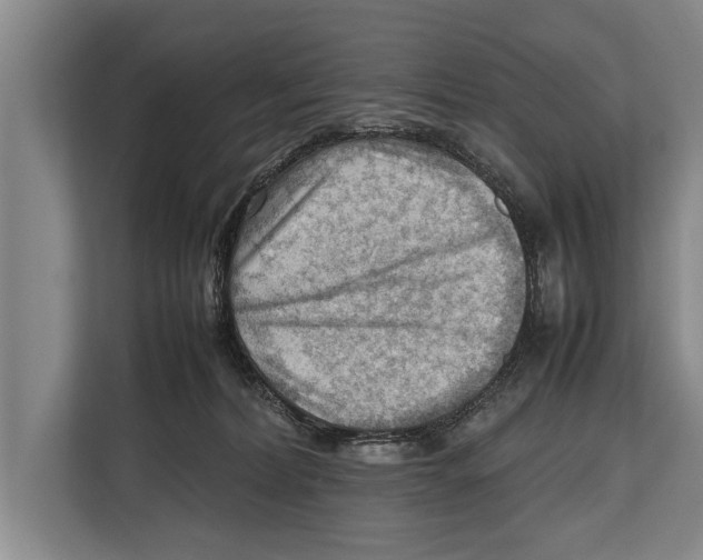 X0000112810228200909181556