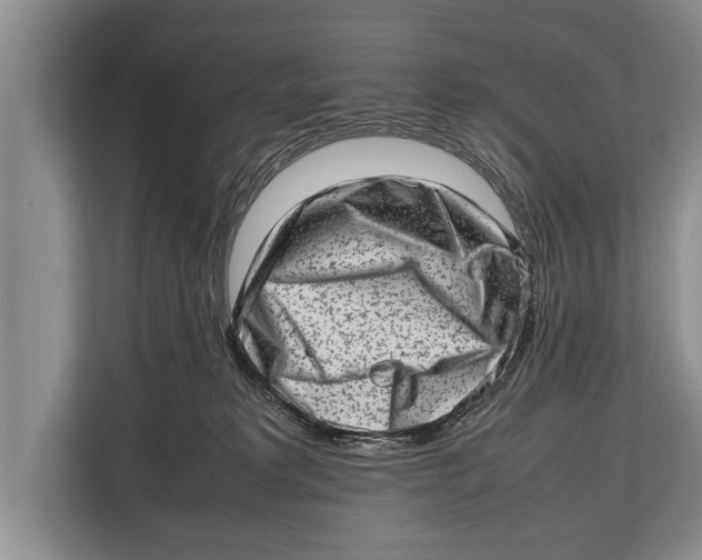 X0000112810229200909181556
