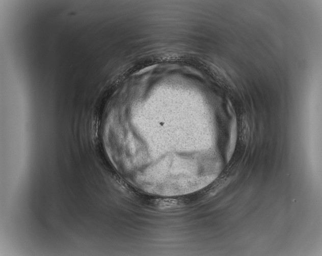 X0000112810230200909181556