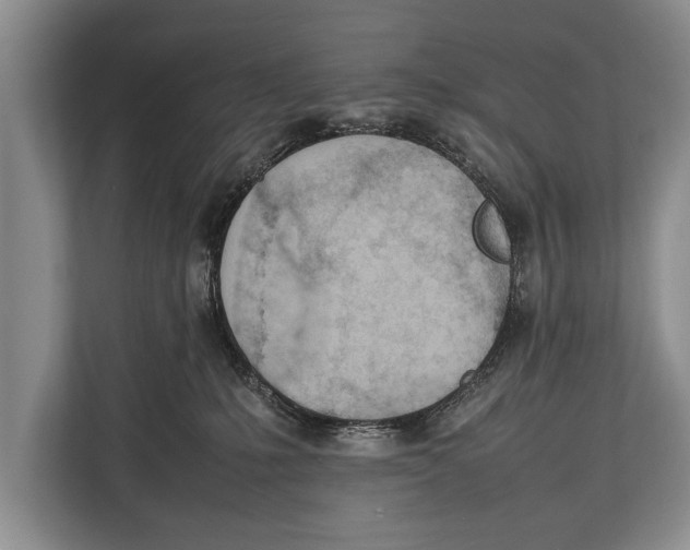 X0000112810231200909181556