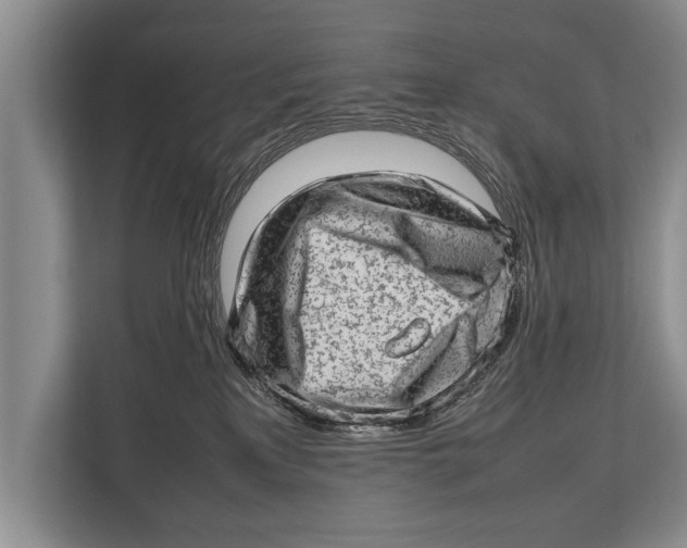 X0000112810233200909181556