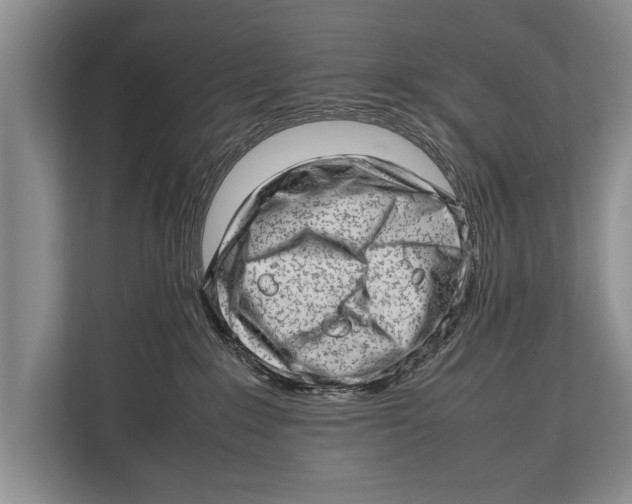 X0000112810235200909181556