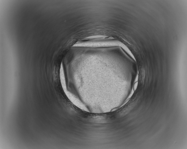 X0000112810236200909181556