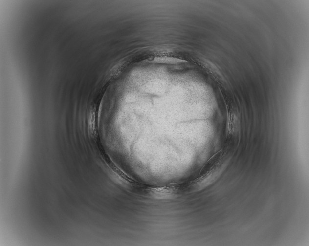 X0000112810238200909181556