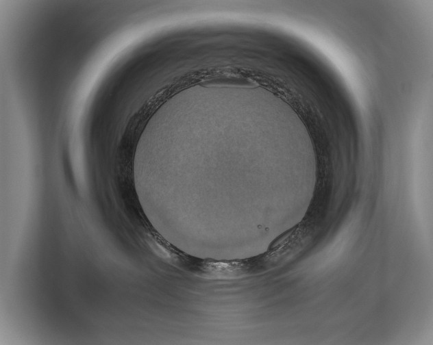 X0000112810239200909181556