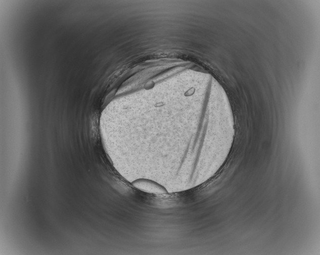 X0000112810240200909181556