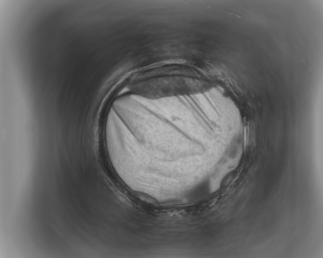 X0000112810243200909181556