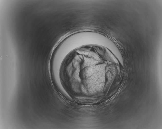 X0000112810244200909181556