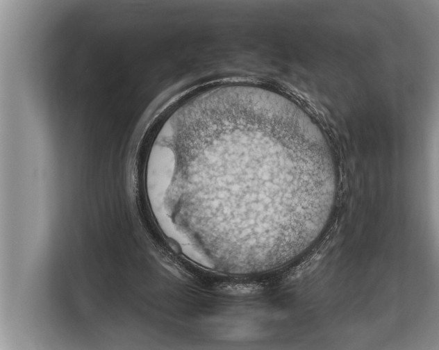 X0000112810247200909181556