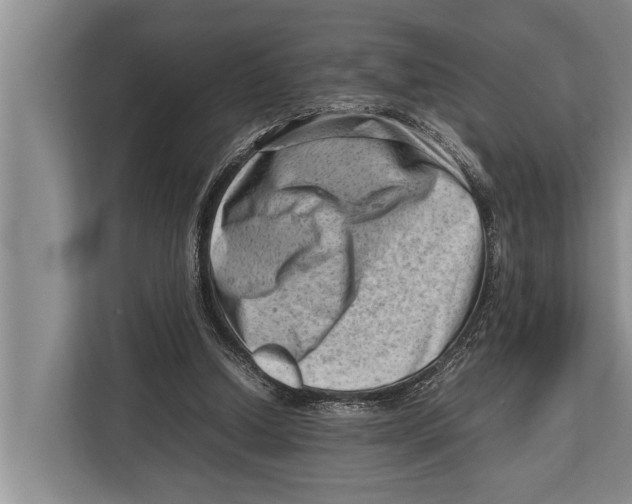 X0000112810250200909181556