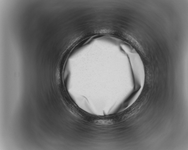 X0000112810251200909181556