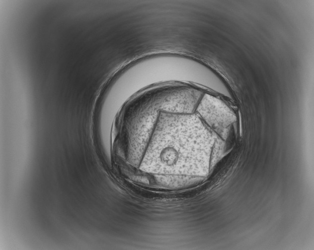 X0000112810252200909181556