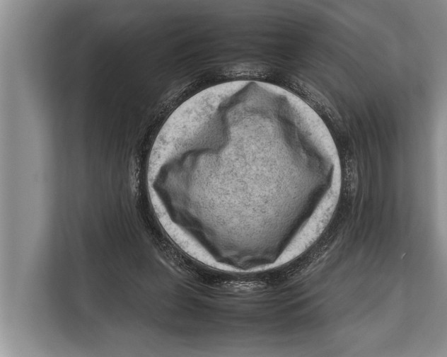 X0000112810255200909181556