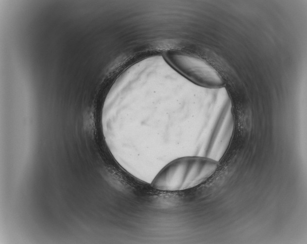 X0000112810256200909181556