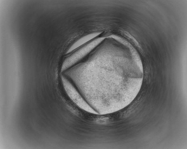 X0000112810257200909181556