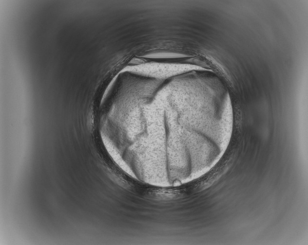 X0000112810261200909181556
