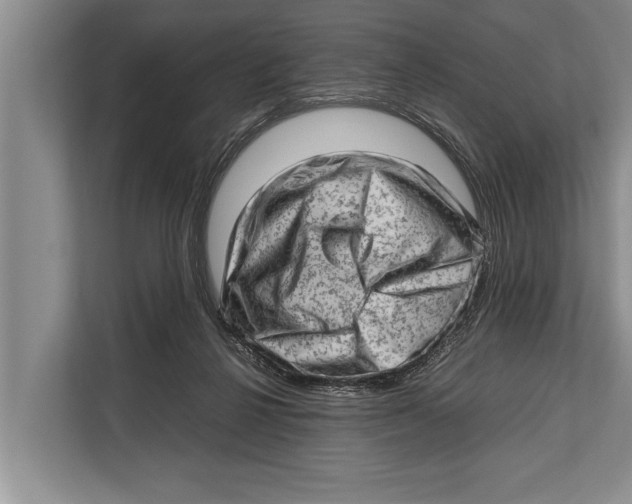 X0000112810264200909181556