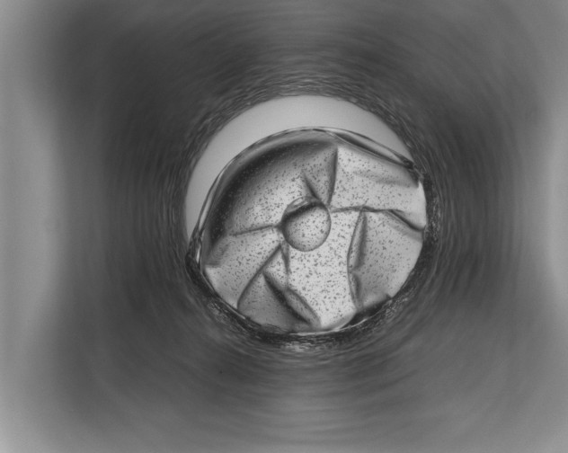 X0000112810272200909181556