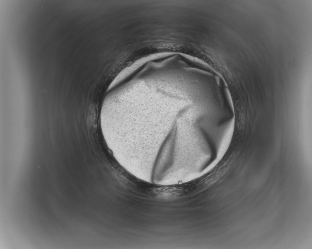 X0000112810273200909181556