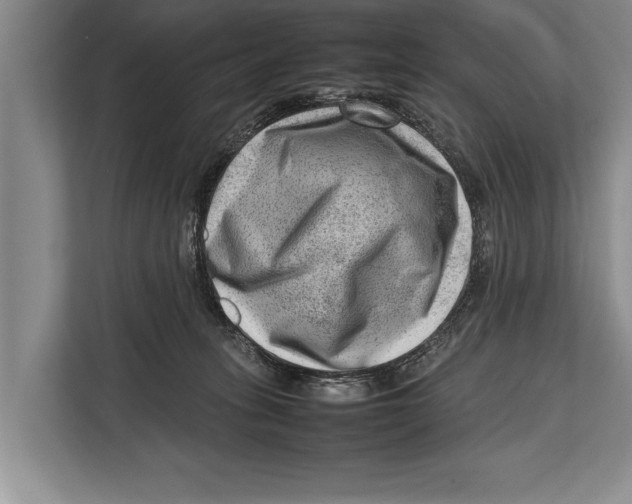 X0000112810275200909181556