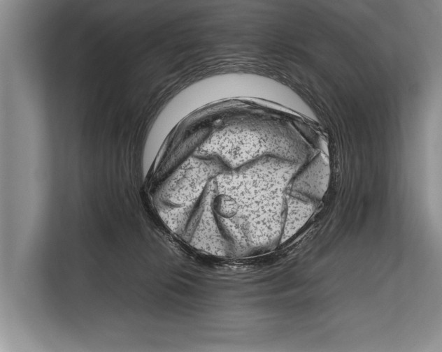 X0000112810276200909181556