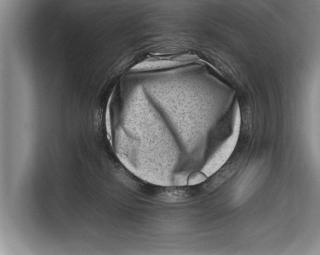 X0000112810278200909181556