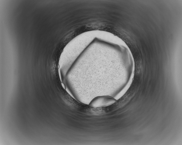 X0000112810279200909181556