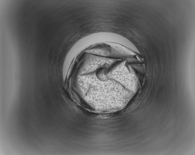 X0000112810280200909181556