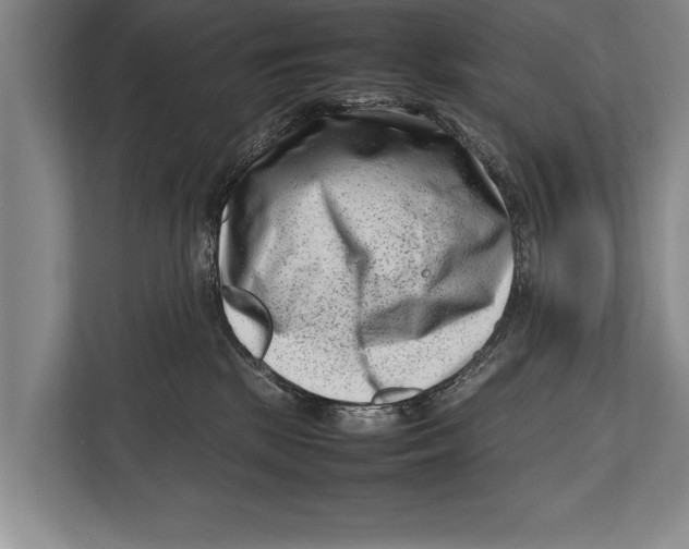 X0000112810281200909181556