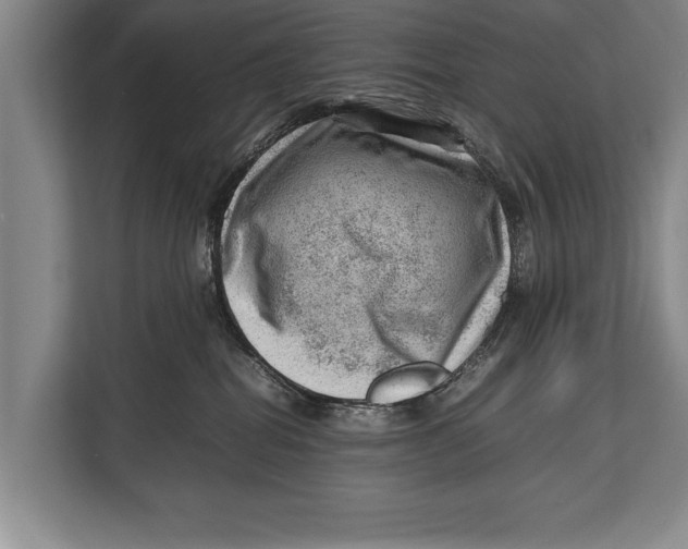 X0000112810282200909181556