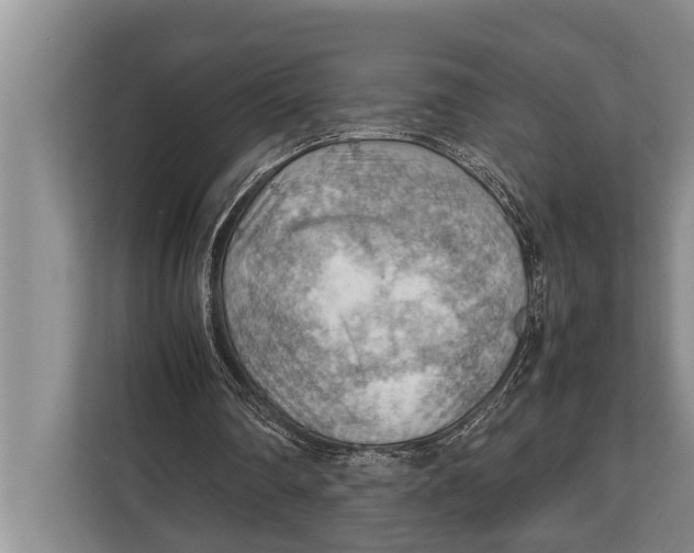 X0000112810290200909181556