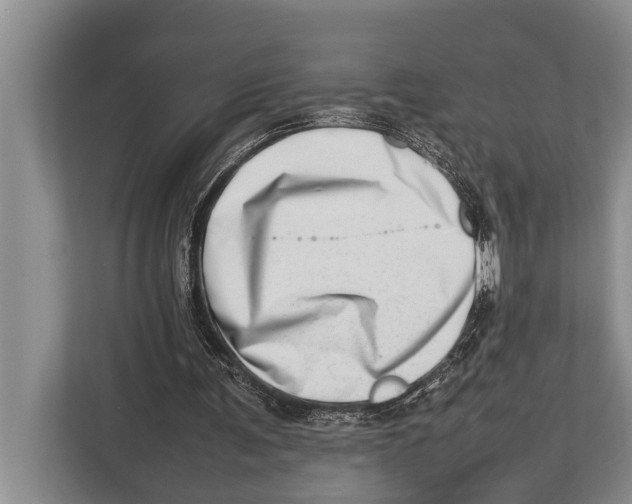X0000112810291200909181556