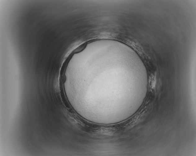 X0000112810292200909181556