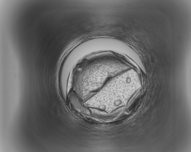 X0000112810293200909181556