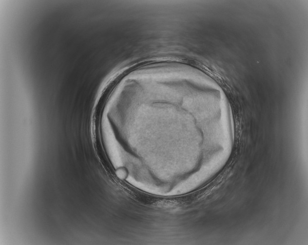 X0000112810294200909181556