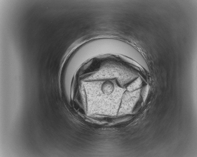 X0000112810296200909181556
