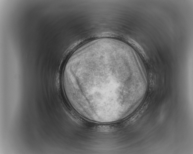 X0000112810298200909181556