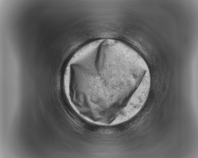 X0000112810299200909181555