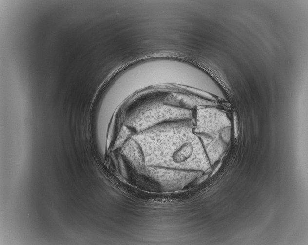 X0000112810300200909181555