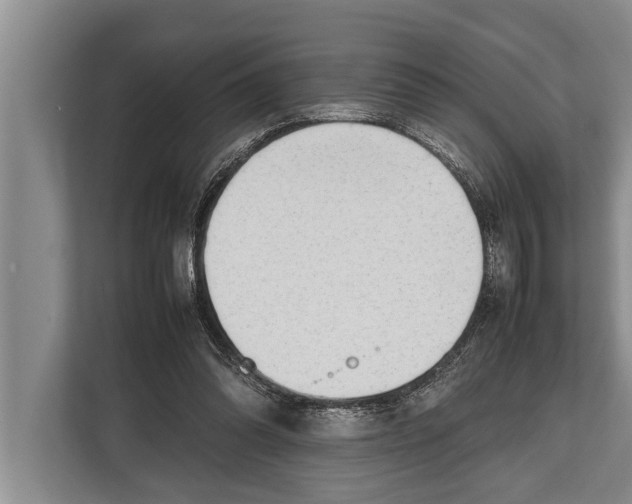 X0000112810302200909181555