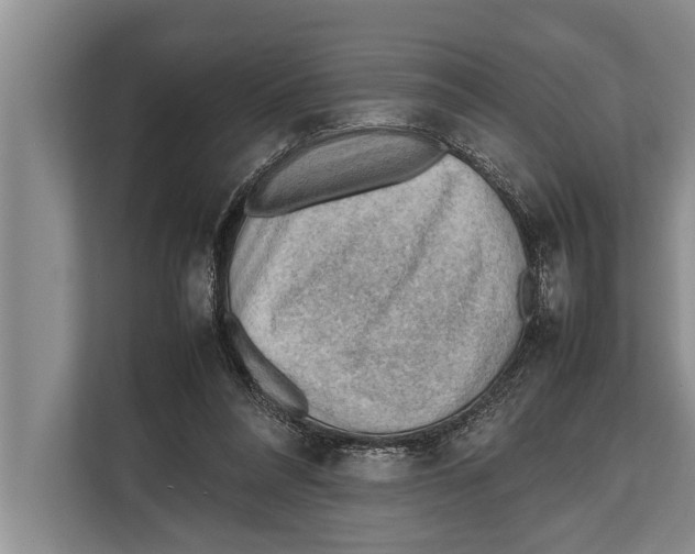 X0000112810304200909181555