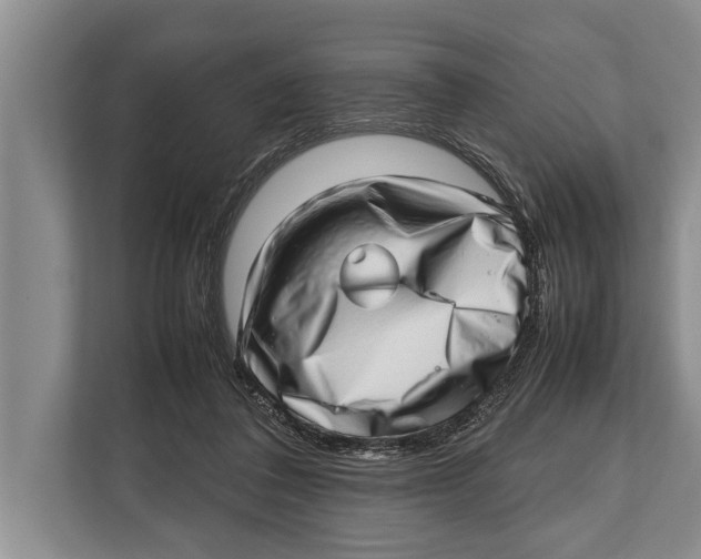 X0000112810308200909181555