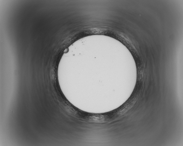 X0000112810317200909181555