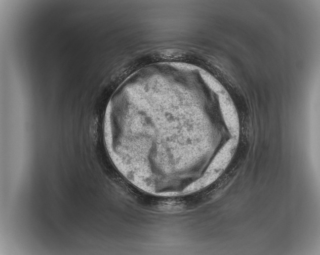 X0000112810319200909181555