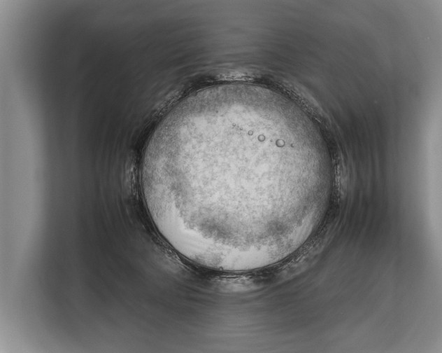 X0000112810322200909181555